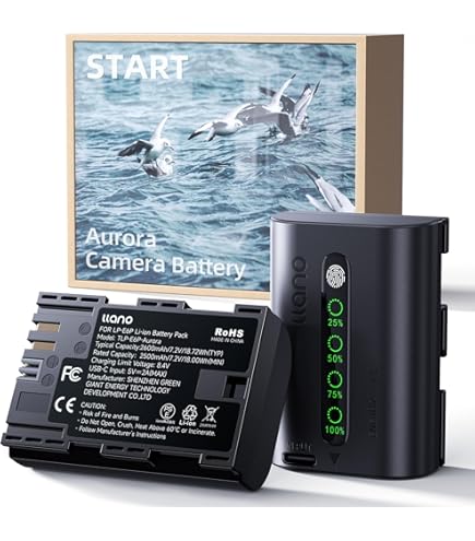 Amazon.com : Canon Battery Pack LP-E6P : Electronics