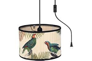 Bioaqua Bamboo Pendant Light with Plug in Cord （15ft）,Macrame Boho Hanging Lamp with Pattern,Bohemian Hanging Lights for Kitchen Bedroom Living Room Decor Bamboo lamp Shade