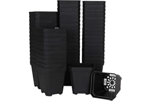 Ziqi 60pcs Plastic Square Nursery Pot (Black) Thick Plastic Square Flower Planting Pots with Drainage Hole for Seed Germination, Seed Starting Pots, Modern Decorative Flower Pot
