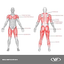 Valor Fitness BD-9 Independent Power Squat Stands