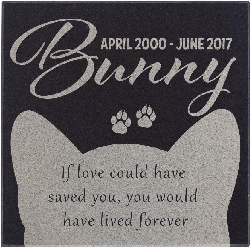 Best riding lawn mower wont turn over