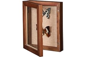 BECTSBEFF 5x7 Shadow Box with Glass, Small Shadow Boxes Display Cases with Door for Shells Taxidermy Keepsake Photos Tickets Coins - Walnut