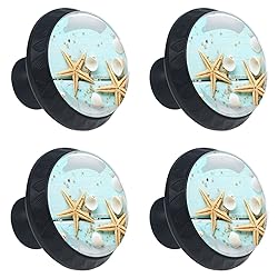 4 Pcs 35mm Seashell Starfish On Teal Wooden