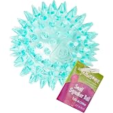 Gnawsome Dog Toys - 2.5&rdquo; Spiky Squeaker Ball - Small - Dental &amp; Gum Wellness - Stimulating Fun - Hidden Squeaker - Durable for Heavy Chewers - 100% BPA-Free - Assorted Colors