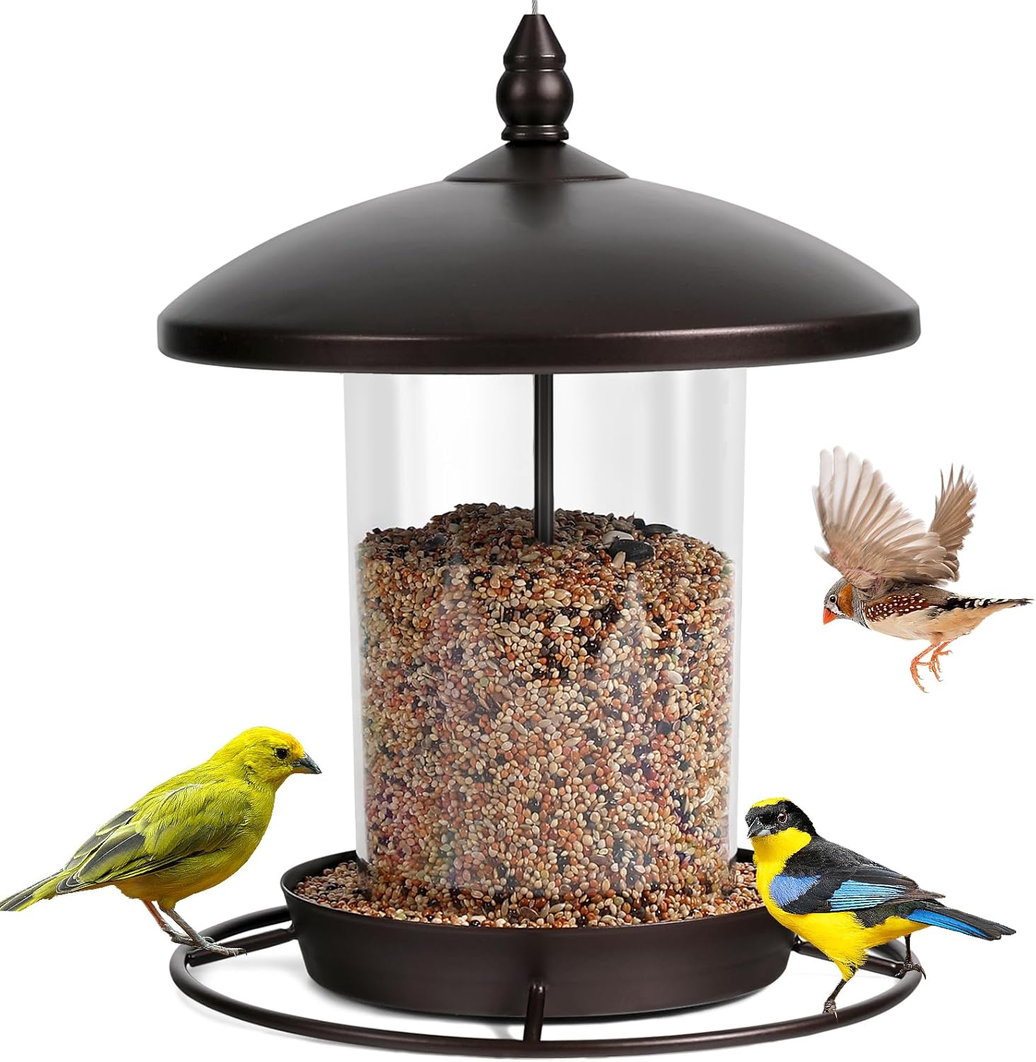 Backyard Birding & Wildlife - Bird Feeders for Outside, Bird Feeder Holds 2.2LB Seeds, Metal Bird Feeder for Outdoors Hanging,Outdoor Garden Weather Resistant Bird Feeder, Brown