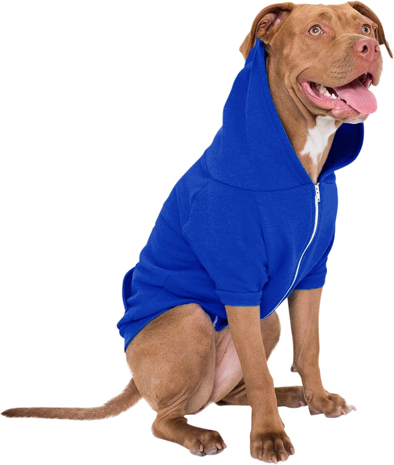 american apparel dog hoodie