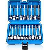 Feikenee 20PC Extra-Long Allen Hex Bit Socket Set, S2 Steel Hex Head Socket | 3/8 Inch Drive Allen Socket Set, 4.3" Extra-Long SAE &amp; Metric Hex Bit Set (1/8"-7/16", 3-12mm), Professional Auto Repair Tool