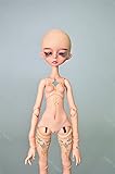 Zgmd 1/6 BJD doll SD doll zora doll contains face