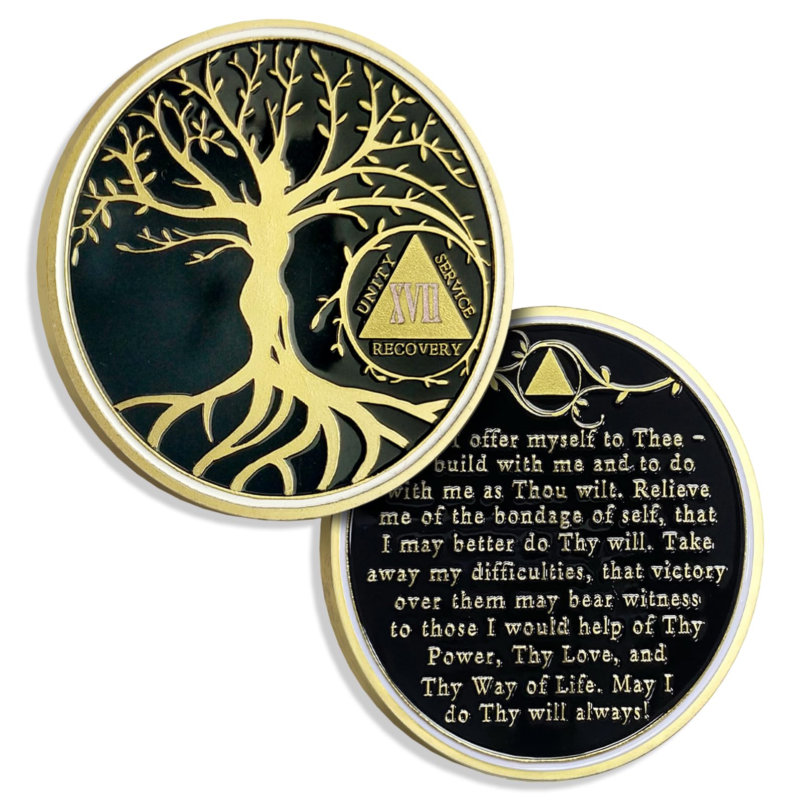 17 Years Sobriety Chip Tree of Life AA Coins and Medallion Alcoholics Anonymous Coin Recovery Anniversary Token Sobriety Gifts for Women Men