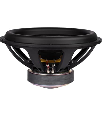 Amazon.com: Dayton Audio SD315A-88 12