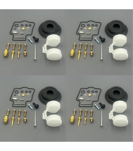 Amazon.com: 4-Pack Carburetor Carb Rebuild Repair Kits with