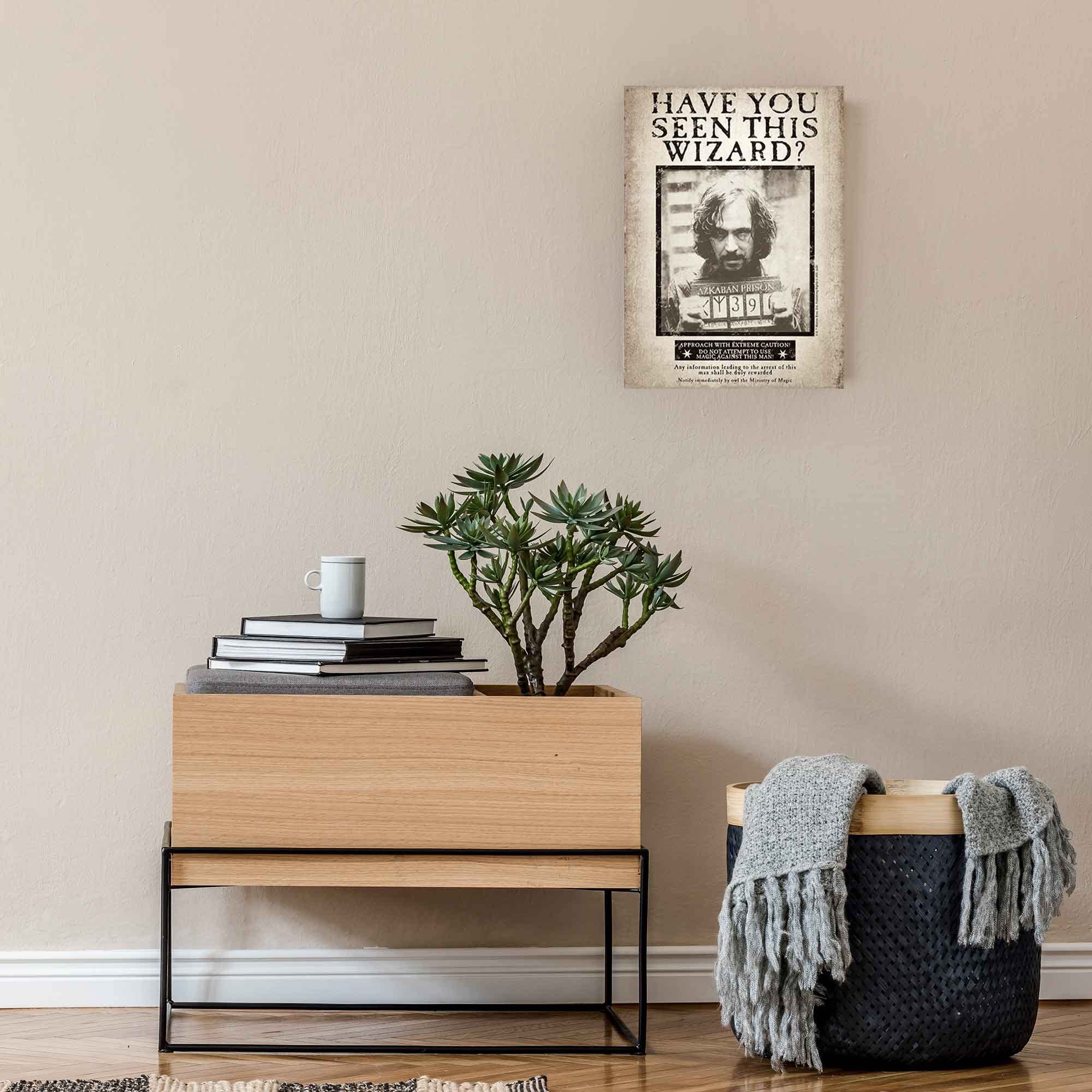 Mua Harry Potter Sirius Wanted Poster 3D Wood Wall Decor Vintage mua-harry-potter-sirius-wanted-poster-3d-wood-wall-decor-vintage