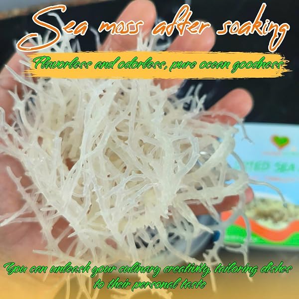 LAM HONG SEA MOSS DRIED 4OZ – MAKE OWN SEA MOSS GEL ORGANIC RAW, ADD TO SALAD, SUN-DRIED, WILD HARVESTED FOR HIGH EXPANSION & NATURAL FLAVOR, IODINE & MINERALS, SUPPORTS WELLNESS, VIETNAMESE SEA MOSS.