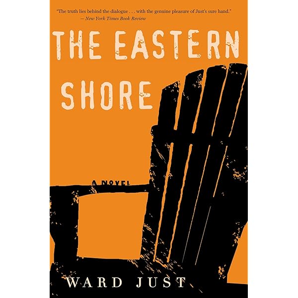 The American Ambassador: A Novel: Just, Ward: 9780618340781
