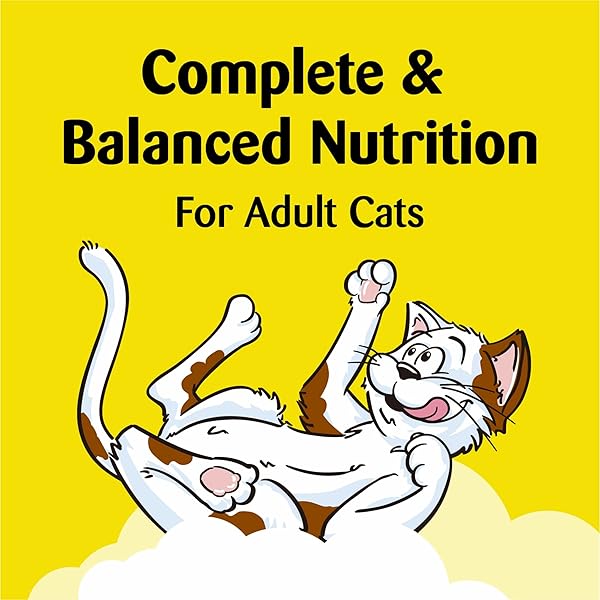 TEMPTATIONS CHICKEN AND DAIRY FLAVOR CRUNCHY AND SOFT KITTEN TREATS, 6.3 OZ.