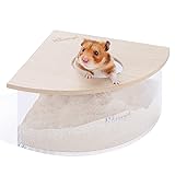 Niteangel Animal Sand-Bath Box: - Acrylic Critter's