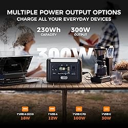 Flashfish T300pro 300W Portable Power Station 230Wh