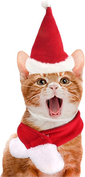 Weihnachts Kostüm Für Hunde & Katzen - Mütze & Schal Set In Rot/Weiß