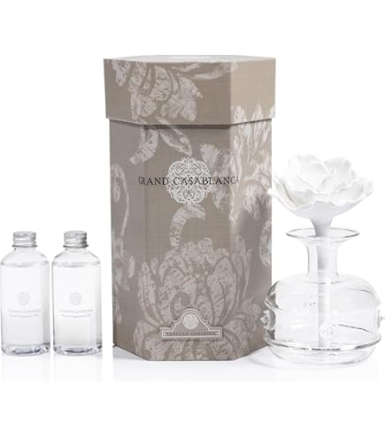 Amazon.com: Zodax Seychelles Porcelain Scented Diffuser Square