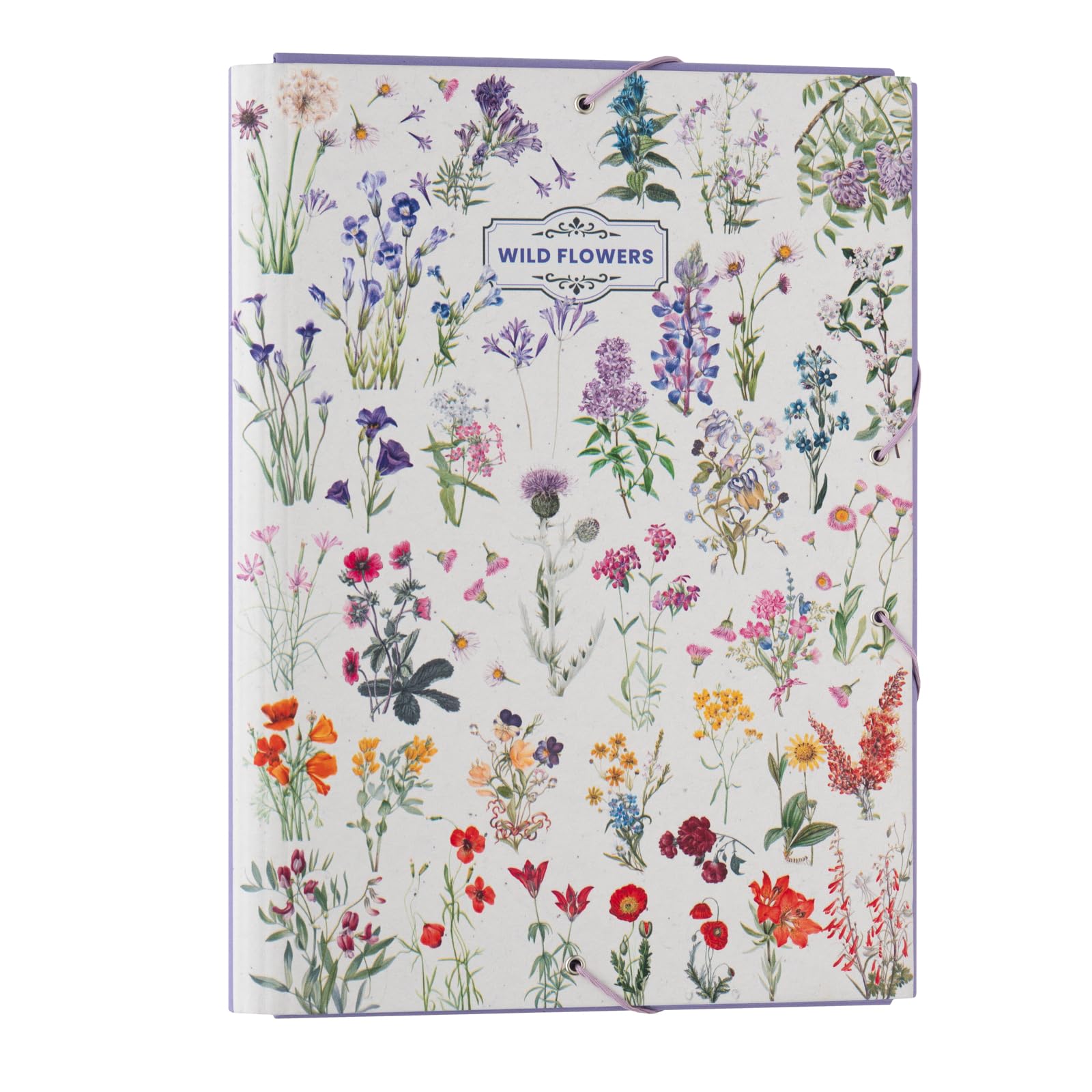Grupo Erik A4 Folder - Wild Flowers | 3 Flap Document Folder 13.4 x 10 inches - 34 x 25.5 cm | Document Organiser, School Folders | Cute Stationery