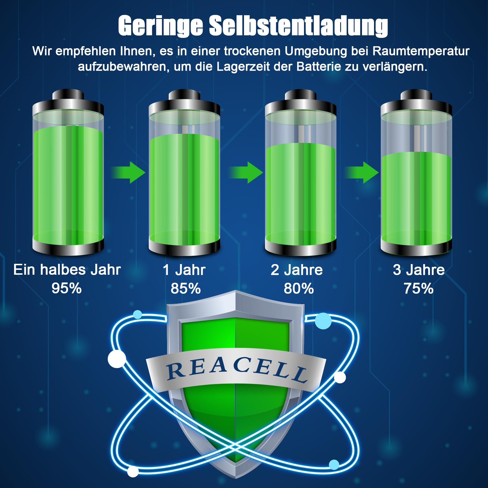 REACELL 1.2V AA NI-MH Wiederaufladbare Batterien mit Aufbewahrungsbox 6