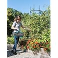 Gardener's Supply Company Titan Extra Tall Tomato Cages I Set of 3 - Sturdy Steel Core Plant Support Trellis for Vegetables & Climbing Plants | 19-1/2" D x 80" H