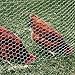 YARDGARD Chicken Wire 1 Inch Mesh 18 Inch X 150 Foot 20 Gauge Galvanized Steel Wire Fence Ideal for Crafting, Garden Protection, Bird Enclosures, Chicken Coops, Poultry Netting and Rabbit Fencing