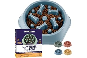Miracle Vet Slow Feeder Dog Bowls for Fast Eaters - for Small, Medium Sized Dogs - Dog Puzzle Maze Helps Slow Down Eating - Adult, Puppy Food Bowl for Bloat Stop - Non-Slip Feeder Bowl (Blue)