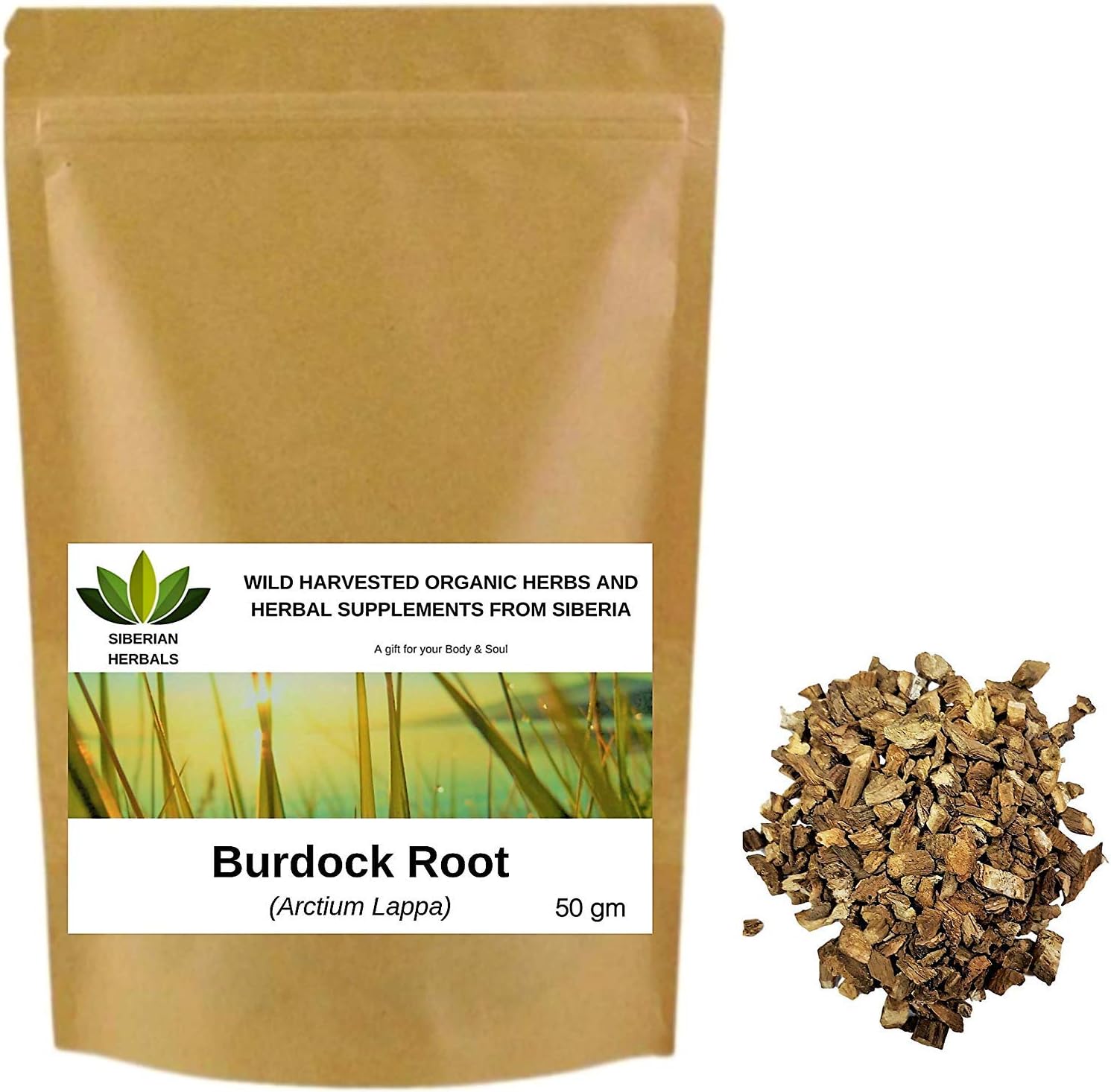 Burdock Root (Arctium Lappa) Wild Harvested Organic Лопуха корни from Altai Mountains, Siberia, Russia. (50 gm)