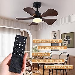 COCOSTAR Ceiling Fans with Lights and Remote/APP