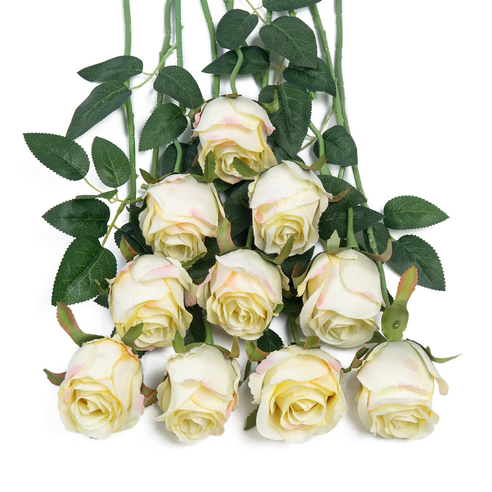 DuHouse 10pcs Artificial Silk Roses Flowers Single Long Stem Fake Rose Bouquet for Wedding Home Party Decoration Centerpieces(Cream Green) — image 1