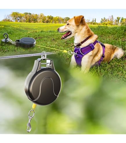 3 sided squeaky dog toy Doggy Cigs Dog Toy main image 0