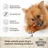Zoë Better Bones Duck & Cranberry Twists Dog Treats 10 pcs view 3