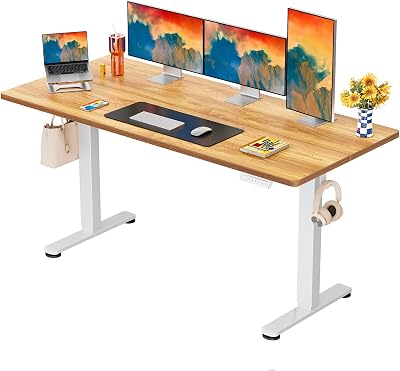 ErGear Electric Standing Desk 160x80cm 4 Memory Height Adjustable