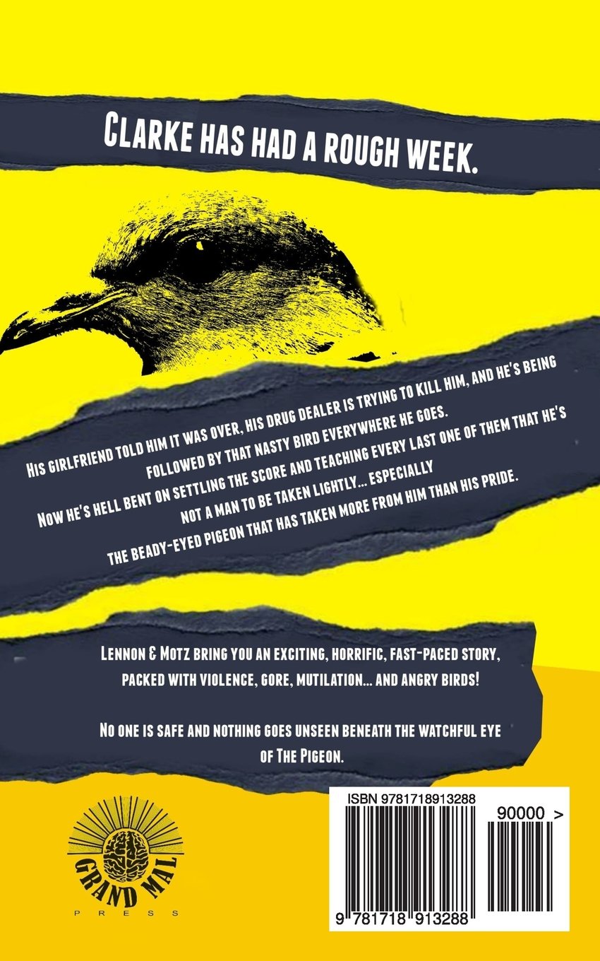 The Pigeon Nothing Goes Unseen Lennon Andrew Motz Christopher 9781718913288 Amazon Com Books