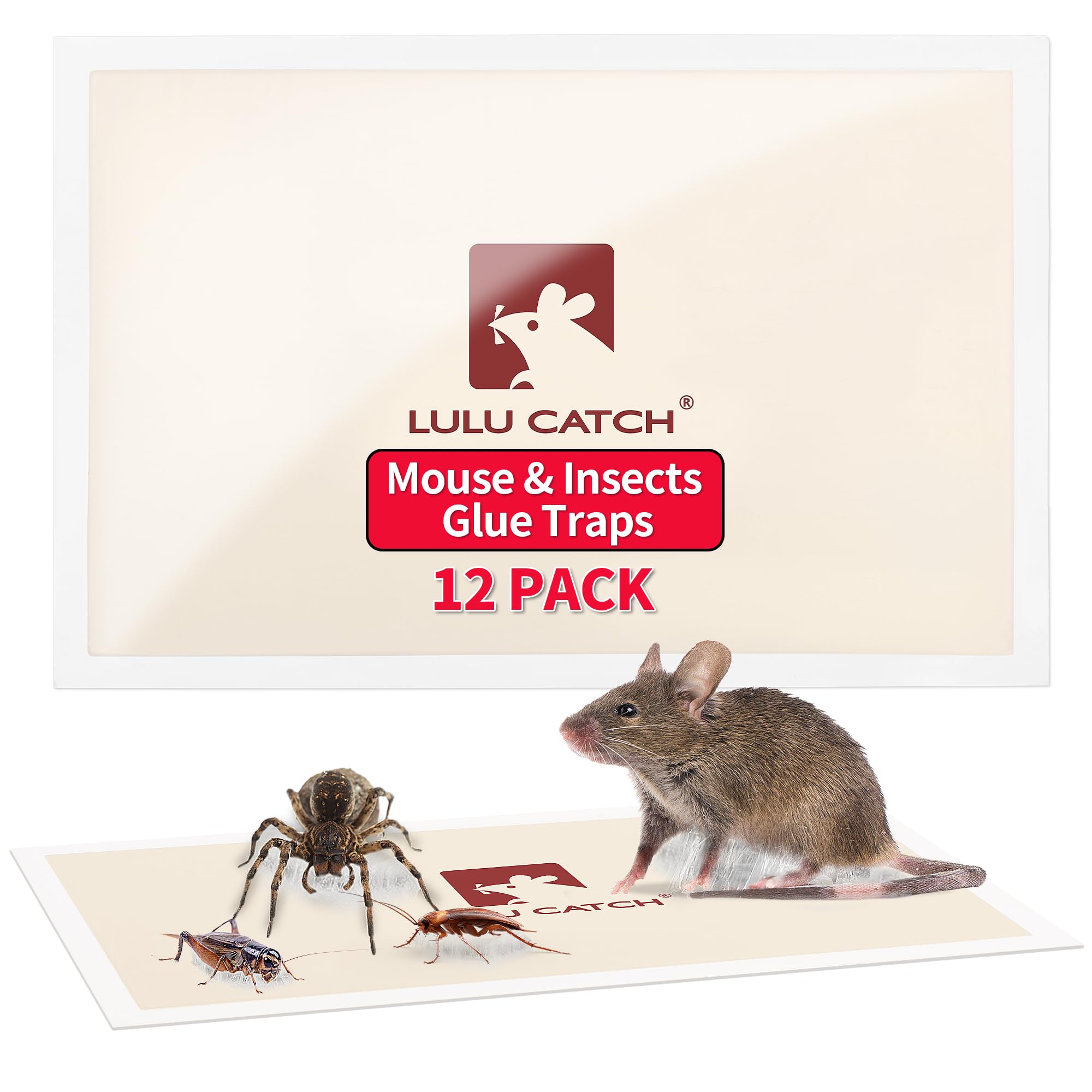 Photo 1 of LULUCATCH Mouse Traps Indoor for Home, 12 Pack Pre-Baited Sticky Mouse Traps, Non-Toxic Bulk Sticky Tray, Adhesive Glue Boards for Rats, Bugs, Spiders, Mice, Cockroaches, Pet Safe Pest Control