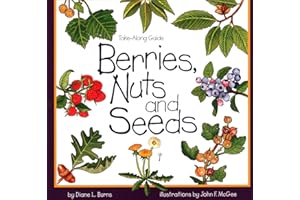 Berries, Nuts, And Seeds