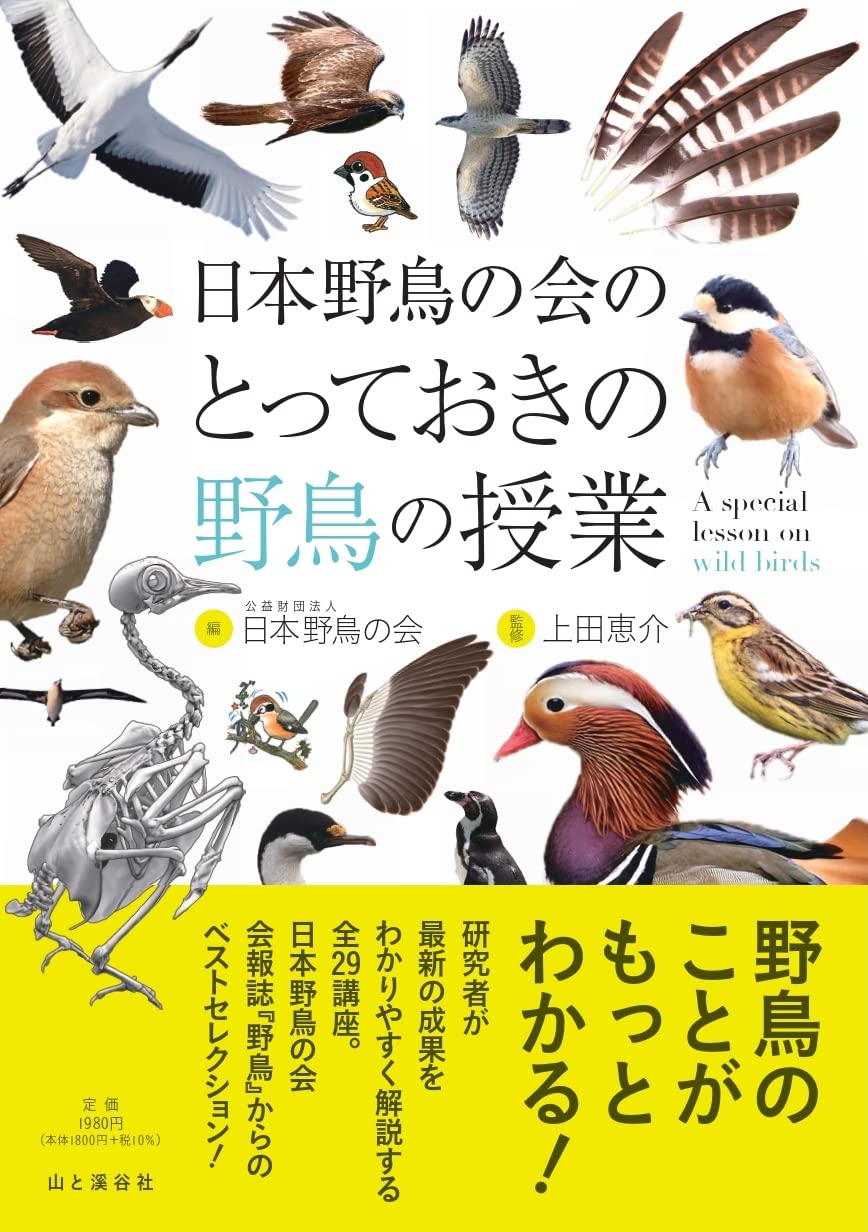 日本野鳥の会のとっておきの野鳥の授業 上田 恵介 日本野鳥の会 本 通販 Amazon