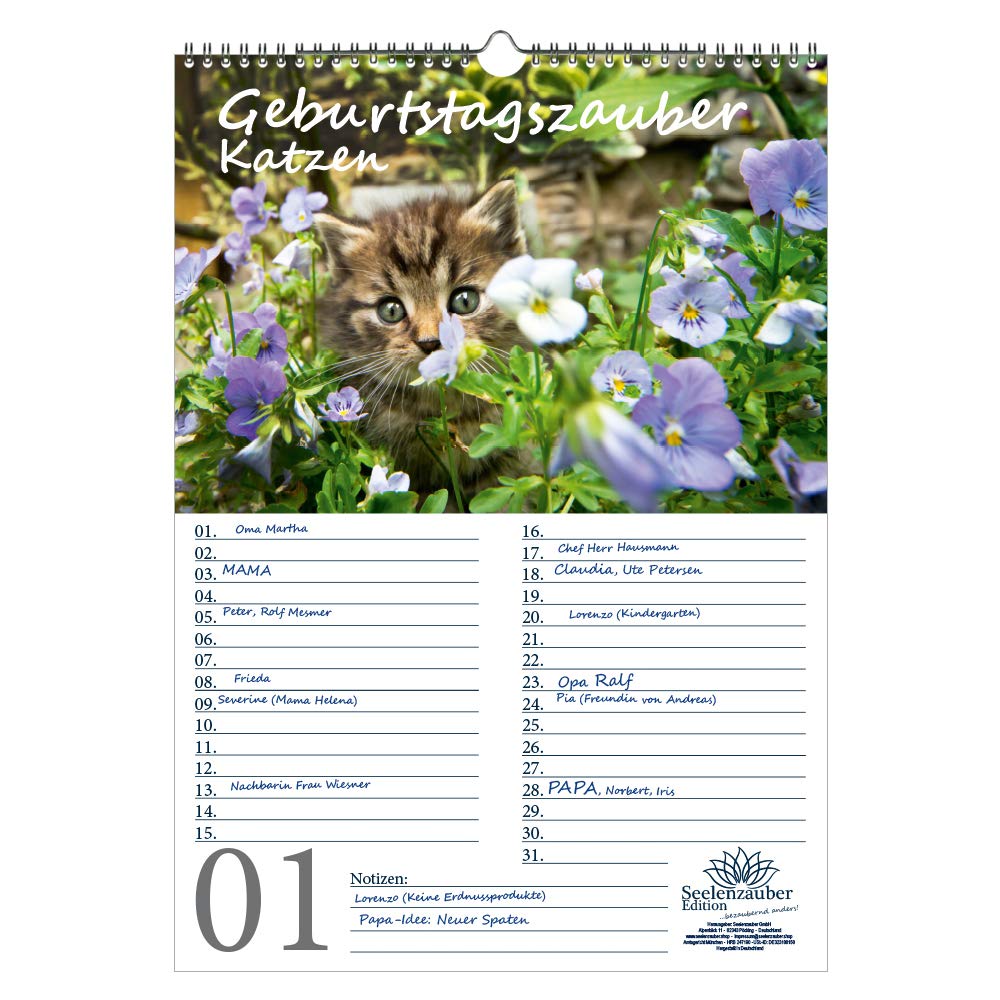 Birthday Planner Birthday Calendar Cat Magic DIN A3 Calendar Cats and Cats Babies – Soul Magic