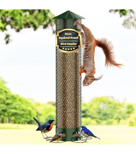 Perky Pet Hummingbird Feeder Buy Perky Pet 114g Squirrel Stumper