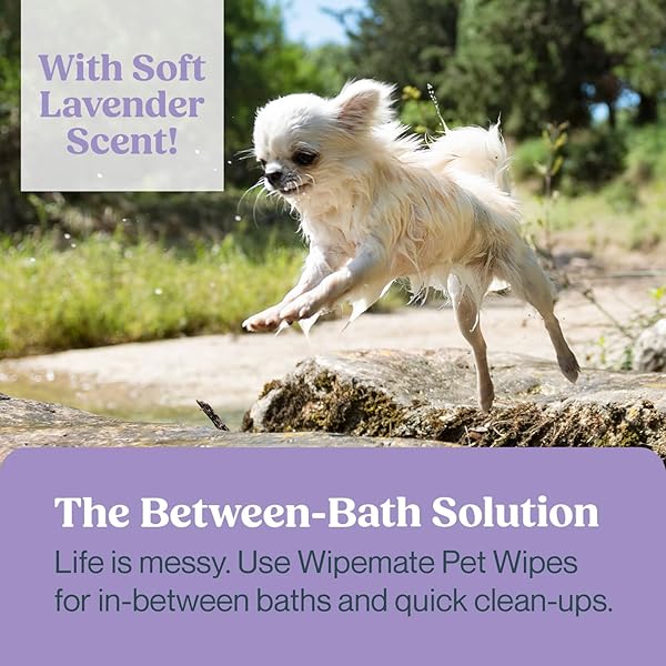 LAVENDER SCENT PREMIUM DOG & CAT PET WIPES CLEANS PET PAWS, EARS, FUR, BUTT, & ANAL GLAND WIPE NO-RINSE SOLUTION GENTLE DEODORIZING & HYPOALLERGENIC FOR SMALL/MEDIUM PETS – 100 COUNT