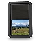 806621 RV Window for Entry Doors With Low-profile