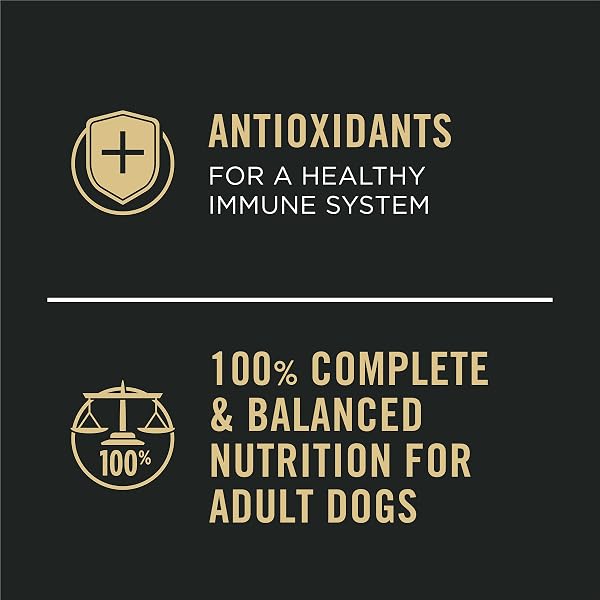 PURINA PRO PLAN SPORT HIGH PROTEIN WET DOG FOOD, BEEF AND BISON ENTRÉE AND TURKEY, DUCK AND QUAIL ENTRÉE VARIETY PACK – (PACK OF 12) 13 OZ. CANS
