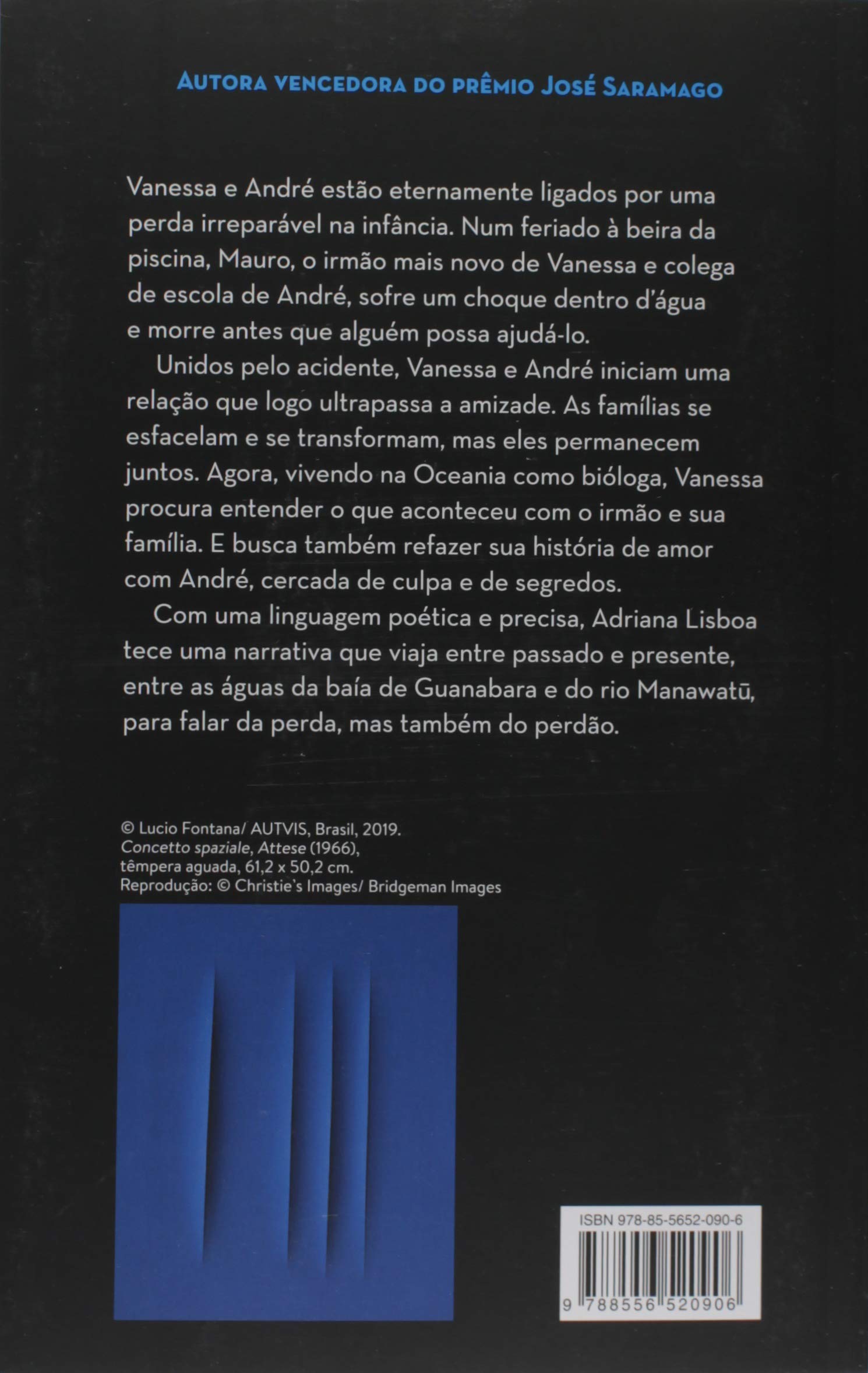 Livro 'Todos os santos' por Adriana Lisboa