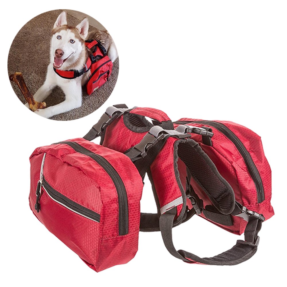 Amazon.co.uk Dog Walking Bags IUCN Water