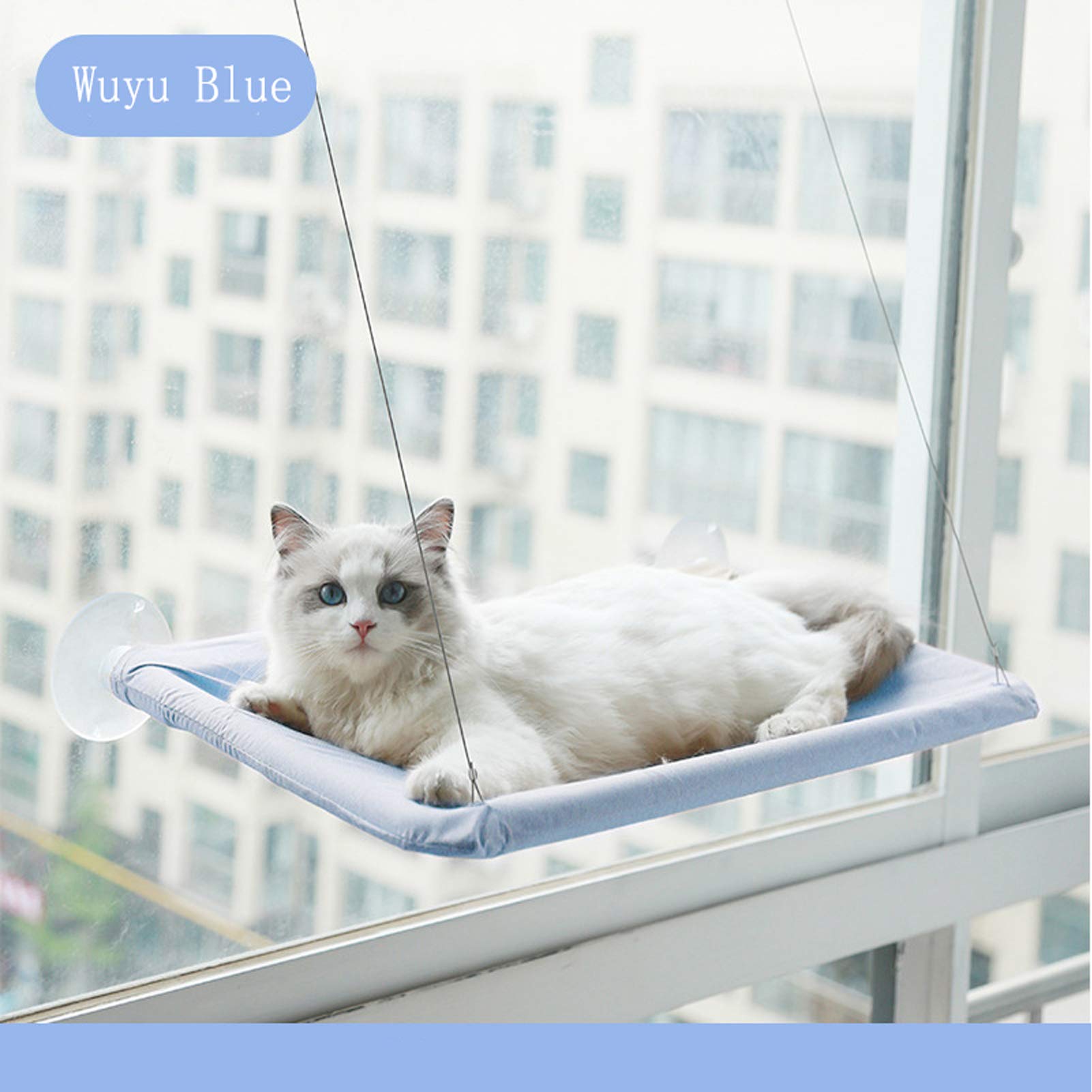 JinRui-T Cat Window Hammock Perch Safety Sunny Bed with Durable Heavy Duty Suction Cups Resting Seat for indoor cats sleeping Space Saving Mounted Holds Up to 30lbs (Blue), (JRTCWP)