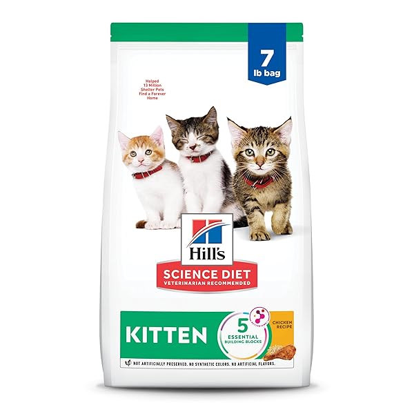 HILL’S SCIENCE DIET KITTEN, KITTEN PREMIUM NUTRITION, DRY CAT FOOD, CHICKEN RECIPE, 7 LB BAG