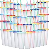 Honeydak 60 Pack Tumbler with Straw and Lid Bulk Water Bottle Iced Coffee Travel Mug Cup Reusable Plastic Cups for Party Birthdays 24-27 oz (Stylish Color)