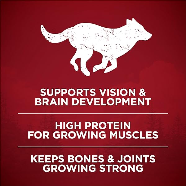 PURINA ONE TRUE INSTINCT WITH REAL CHICKEN AND DUCK HIGH PROTEIN PUPPY FOOD FORMULA NATURAL WITH ADDED VITAMINS, MINERALS AND NUTRIENTS – 7.4 LB. BAG