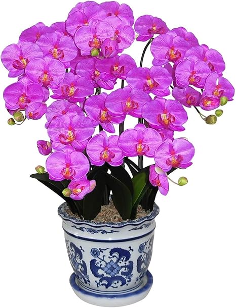 Amazon 造花 アートフラワー リアル胡蝶蘭 鉢植え M C 光触媒 空気清浄 フラワーアレンジ 赤 オーキッド色 青柄鉢 造花 オンライン通販